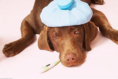 《泰坦之旅2》宣布参展2024科隆 8月2日将首映游戏实机预告